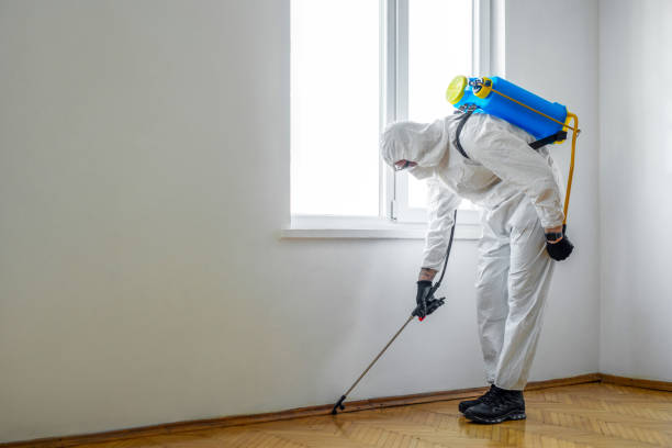 Indoor Pest Control in Winchester, IL